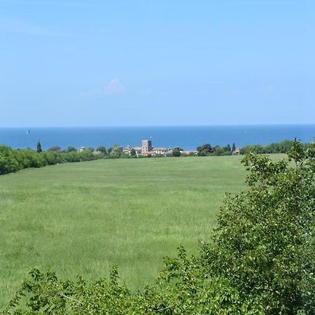 Apartmani Ritosa Novigrad Istria Buitenkant foto
