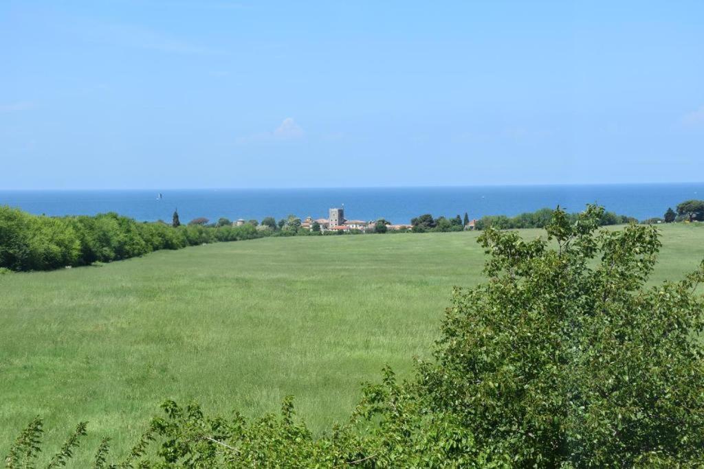 Apartmani Ritosa Novigrad Istria Buitenkant foto